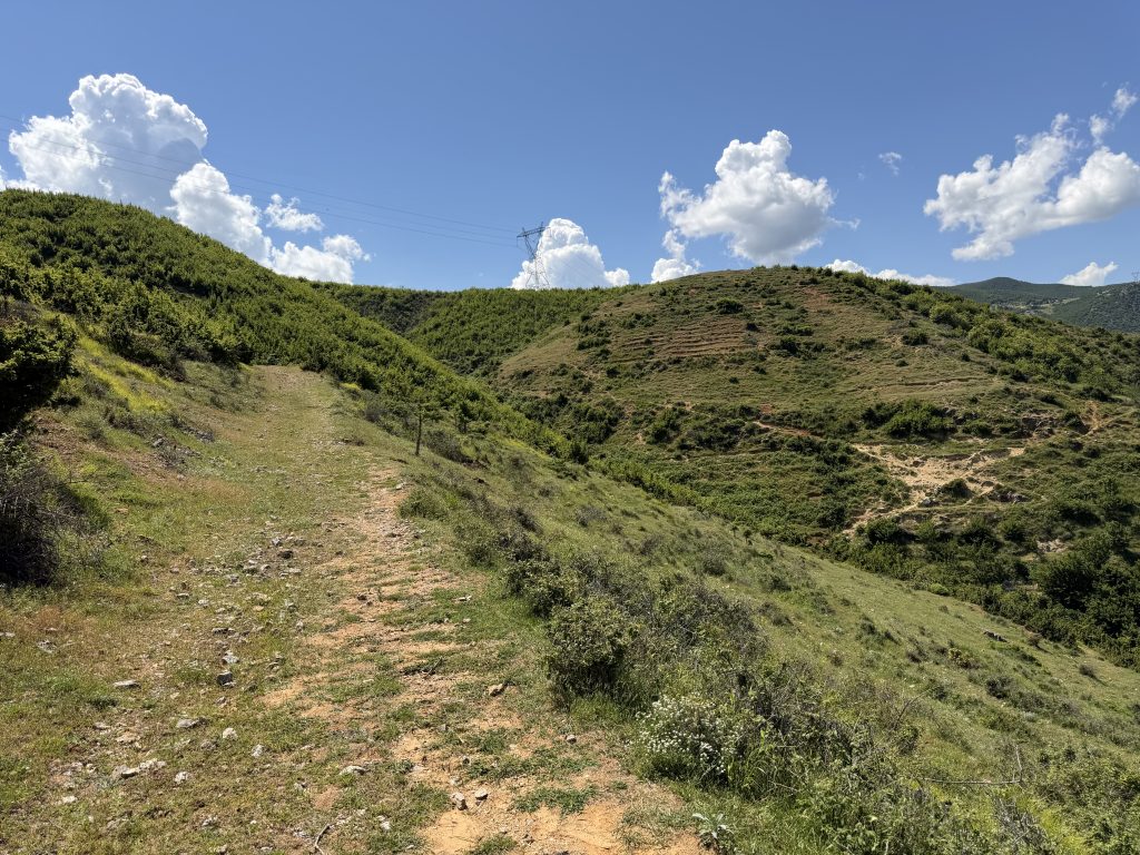 Collines qui bordent Pogradec